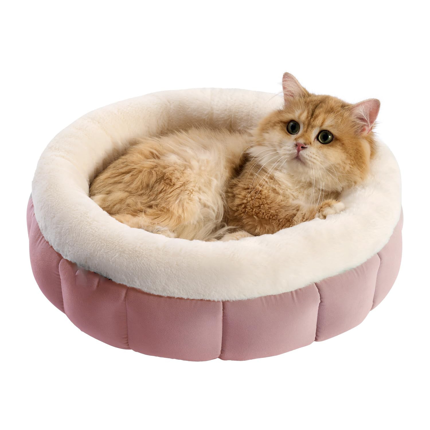 Round Donut Pet Bed Washable With Anti Slip Bottom For Comfort