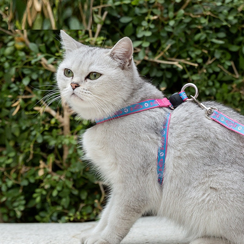 Pet Vest Harness With Bell And Leash For Small Pets