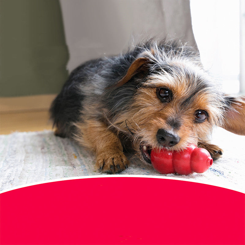 Durable Bite-Resistant Rubber Pet Chew Toy