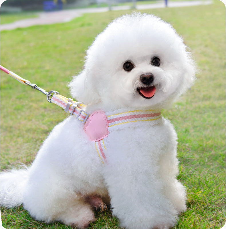 Summer Breathable Pet Vest Harness And Leash For Small Pets