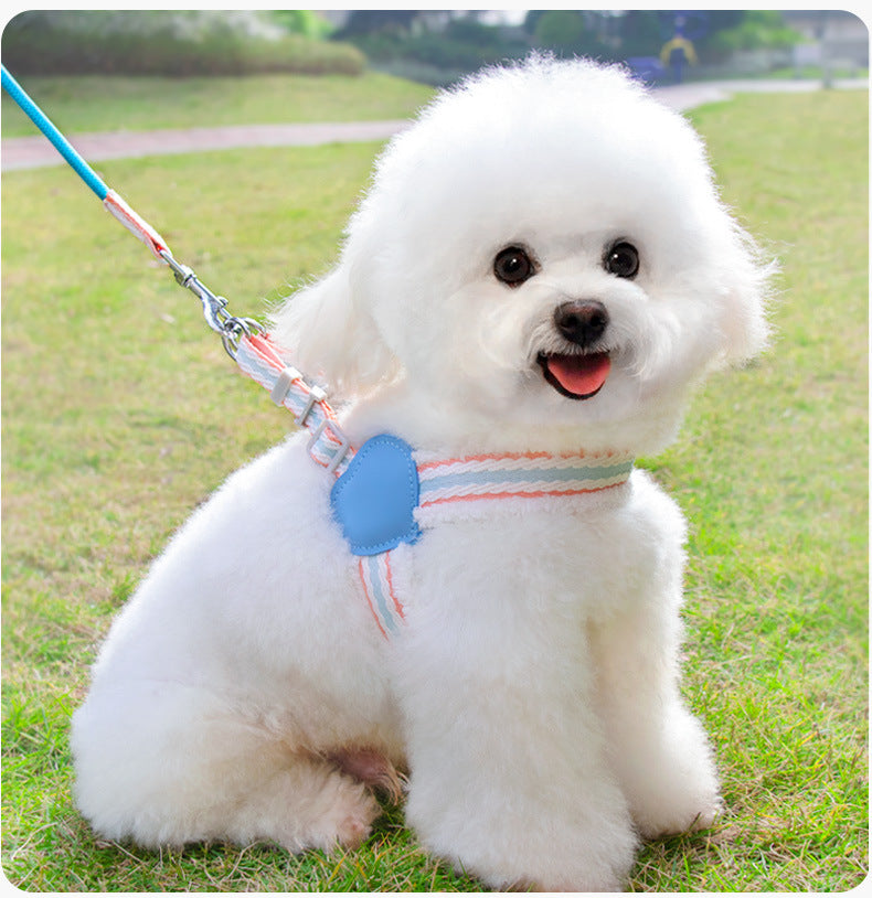 Summer Breathable Pet Vest Harness And Leash For Small Pets