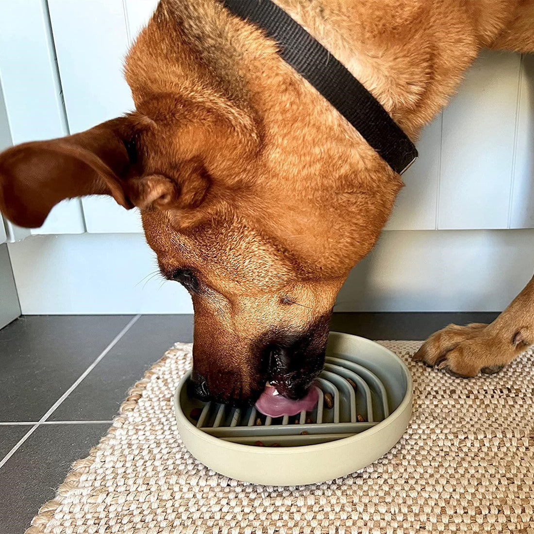 Fashionable Simple Slow Feeding Bowl for Pets