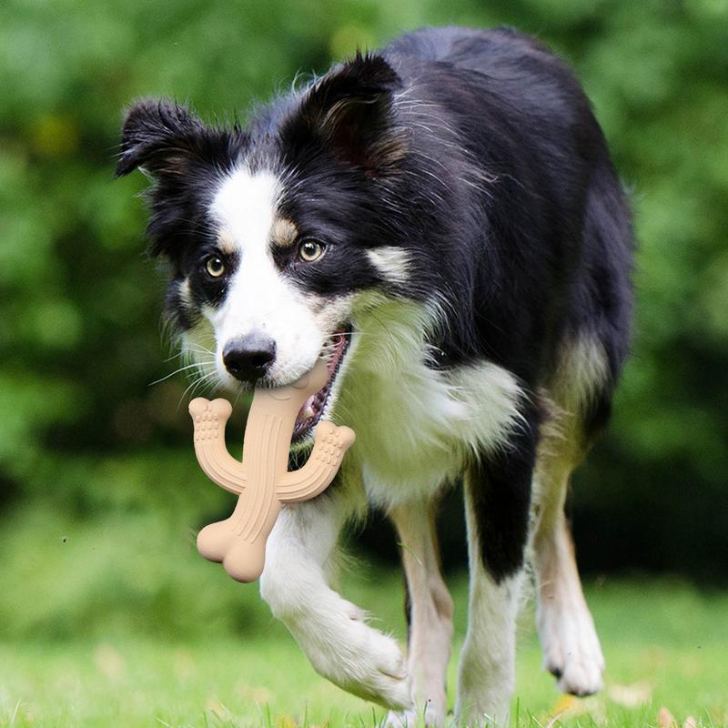 Ultra-Durable Cactus Chew Toys Interactive Fun for Pets