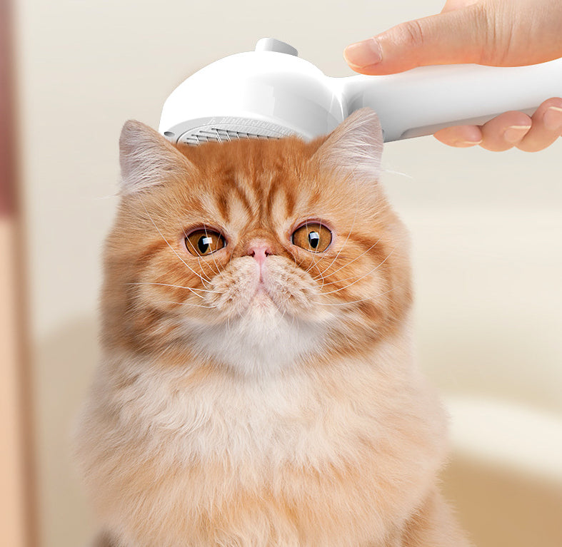 Pet Self Cleaning Grooming Comb With Mist Humidifier And Hair Remover
