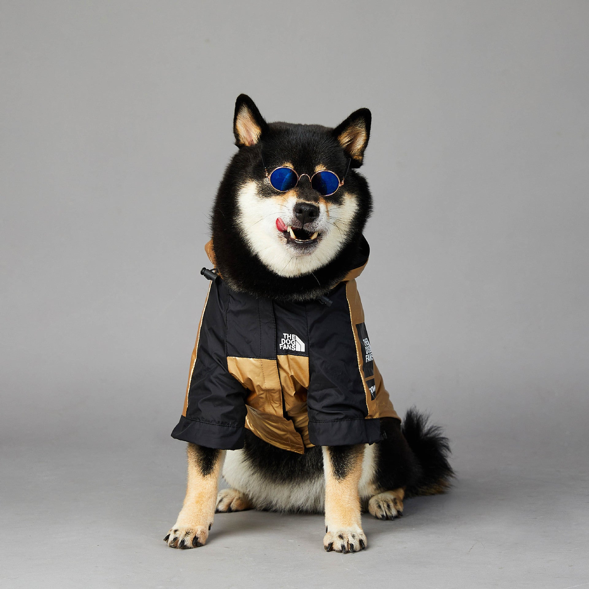 Large Waterproof Pet Raincoat Jacket