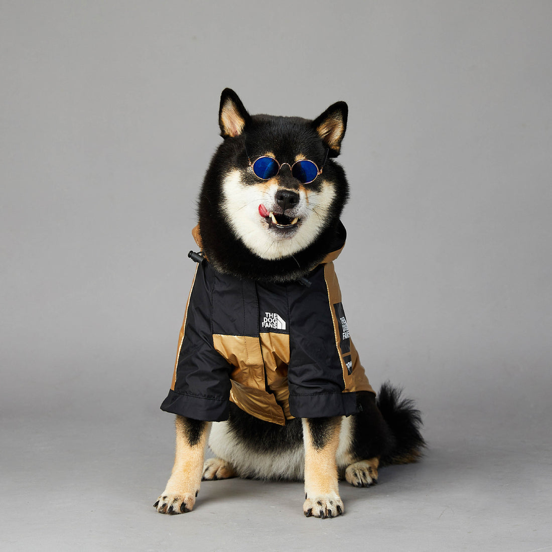 Large Waterproof Pet Raincoat Jacket