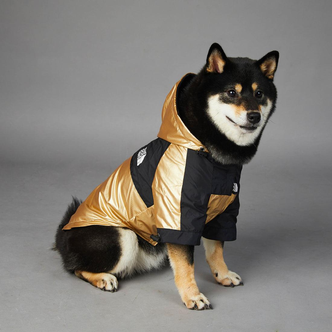 Large Waterproof Pet Raincoat Jacket