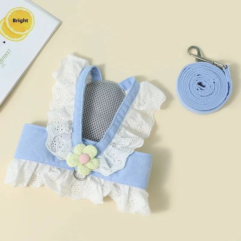 Pet Leash And Collar Set With Back Strap For Safe Walking