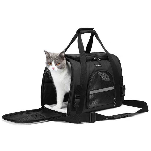 Soft Foldable Portable Pet Carrier Bag