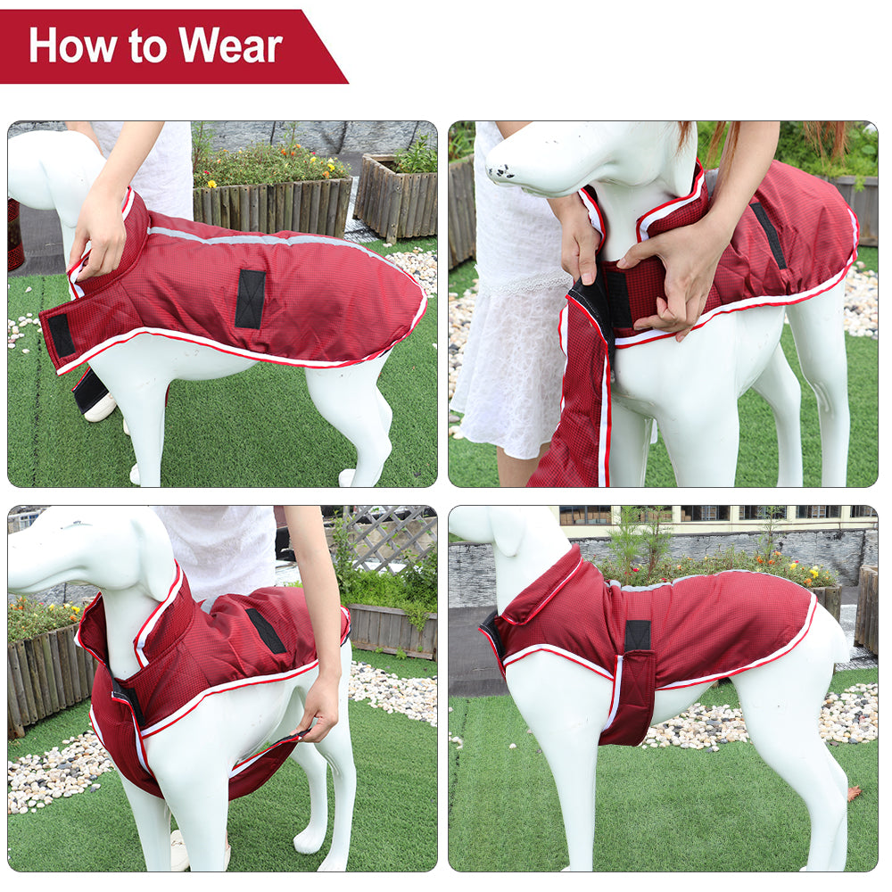 Autumn Winter Warm Waterproof Pet Leisure Jacket