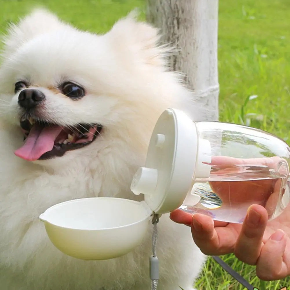Portable Travel Water Bottle and Feeding Bowl for Pets
