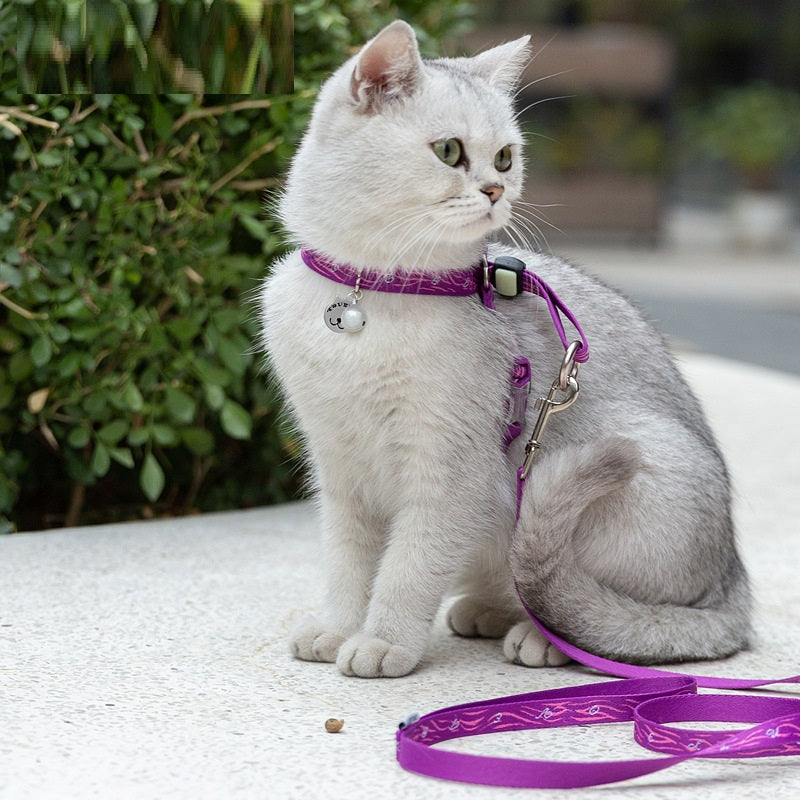 Pet Vest Harness With Bell And Leash For Small Pets