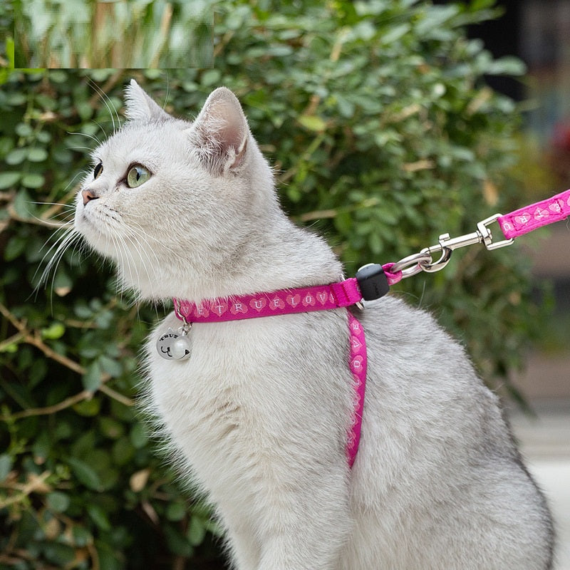Pet Vest Harness With Bell And Leash For Small Pets