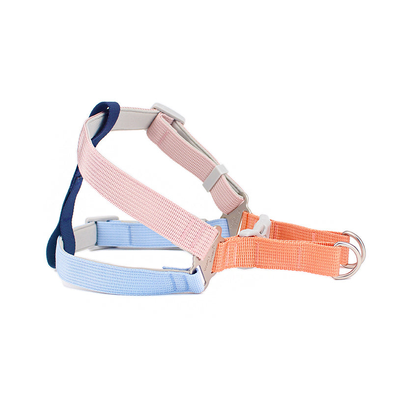 Colorful Pet Chest Harness With Handheld Leash For Outdoor Walking